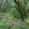 Frühling im Nationalpark