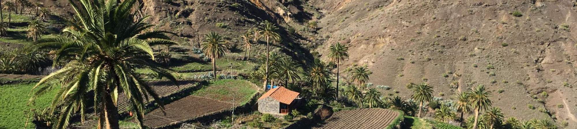 The sun-drenched little village Alojera on La Gomera