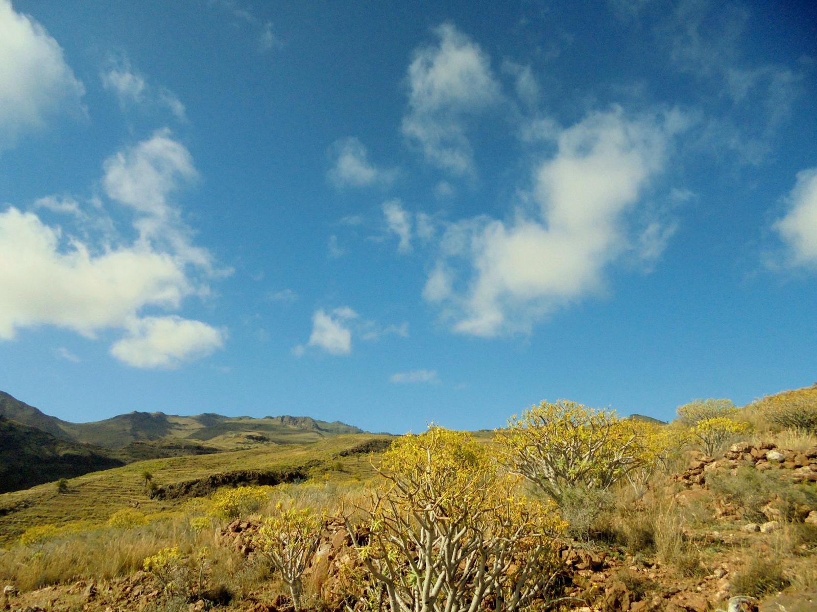 natur-alajero-la-gomera.JPG