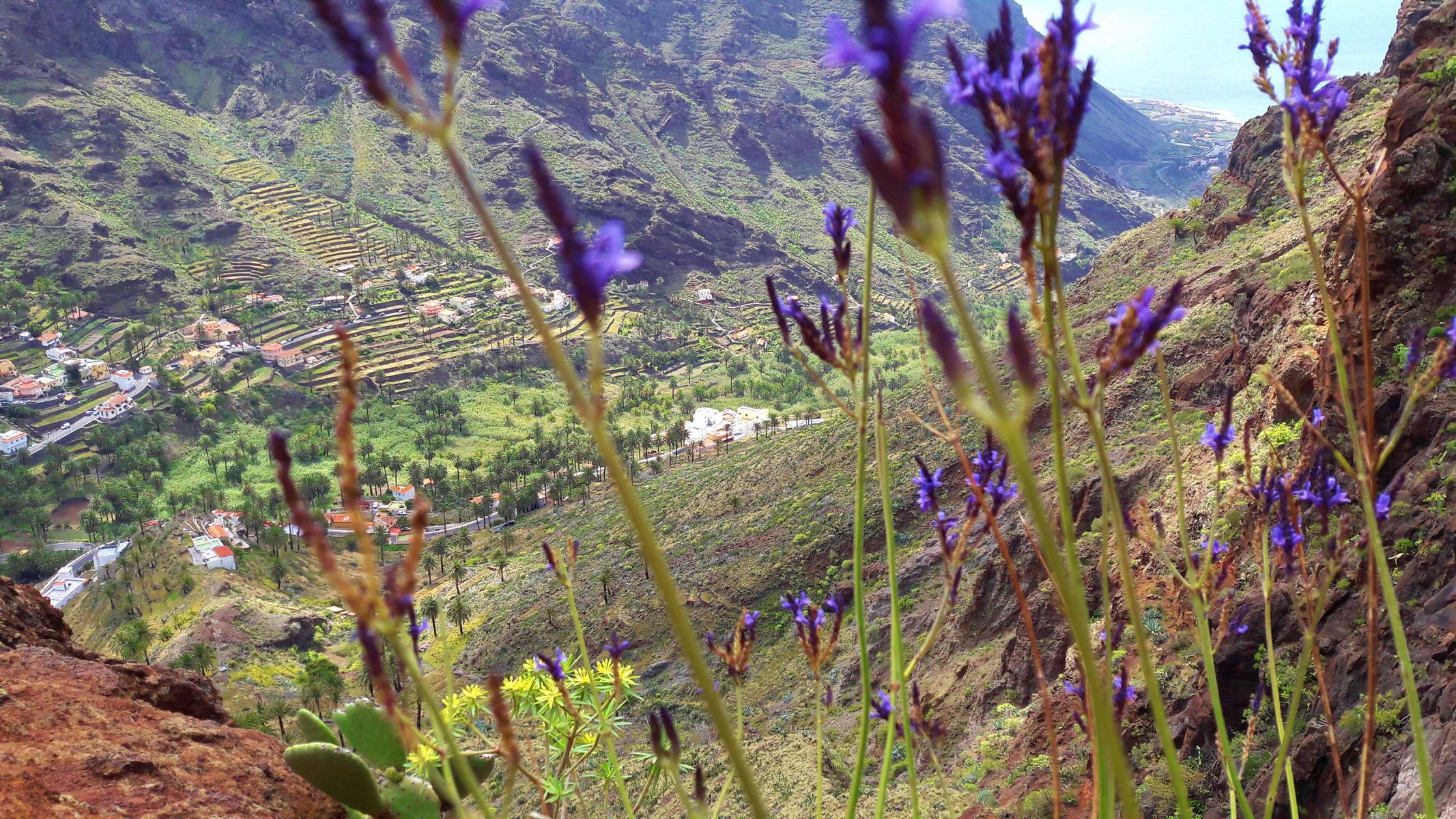 valle-gran-rey-das-obere-tal-des-ortes.JPG